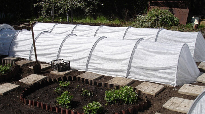 Парник 6 метров